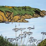 Sark Cliffs