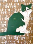 Pats cat