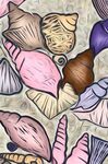 Sea Shells