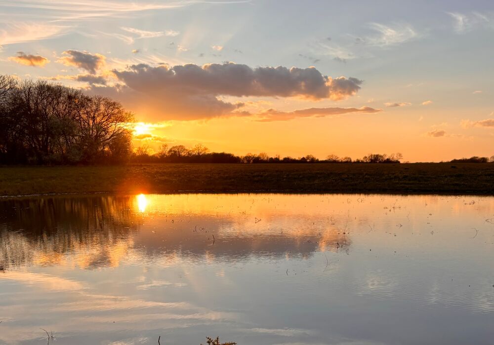 Puddle on the farm!