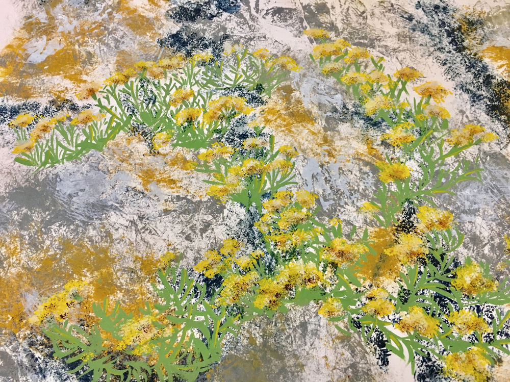 Channel Island Rocks