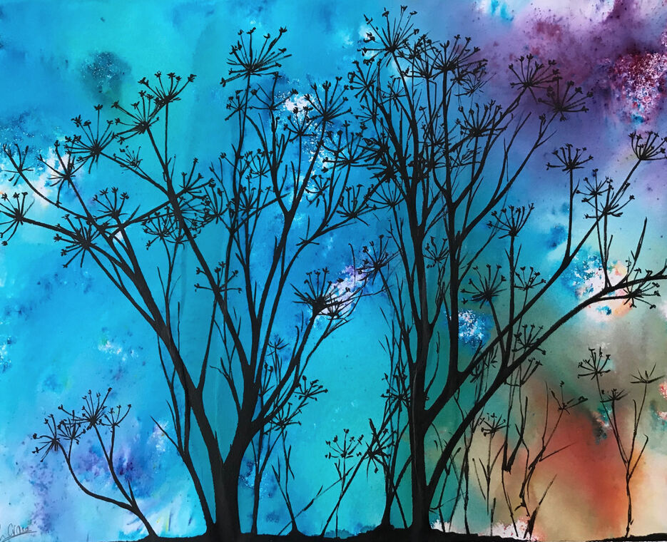 Cow Parsley