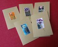 A selection of recent cards