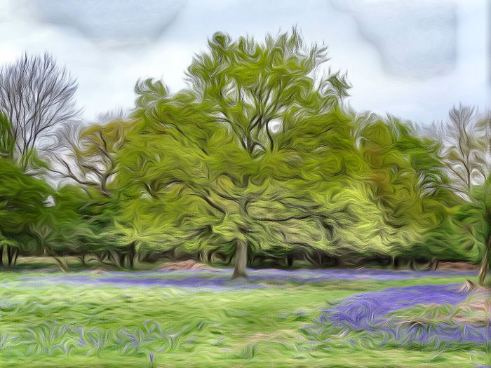 The Wold, Gloucestershire
