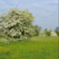 CLICK HERE TO VIEW SOME IMAGES FROM PORTFOLIO