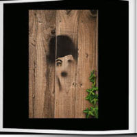 CLICK HERE TO VIEW SOME IMAGES FROM THE PORTFOLIO