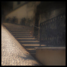 Mtp Lens-45