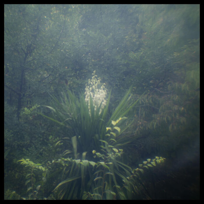 Mtp Lens-46