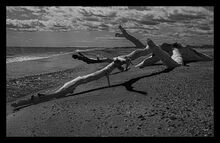 Plage -12