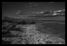 Plage -16