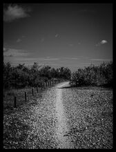 Plage -3