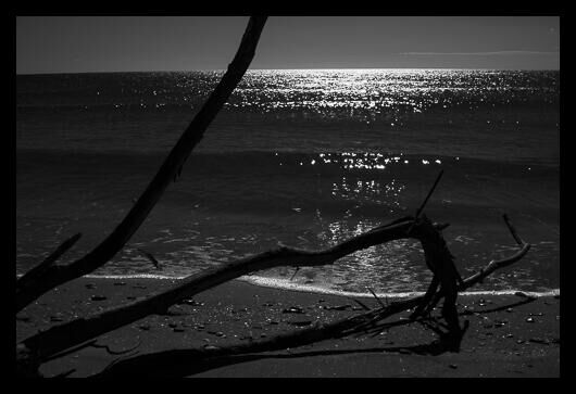 Plage -7