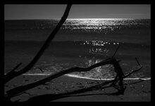 Plage -7