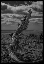 Plage -9