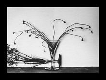 Poppy Seed heads, Ilford Art 300, Selenium (24x30)