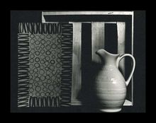 Still Life, llford Art 300, Selenium (24x30)