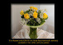 6 ROSES (choice of colours) £28