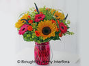 Bold Brights Perfect Gift £32