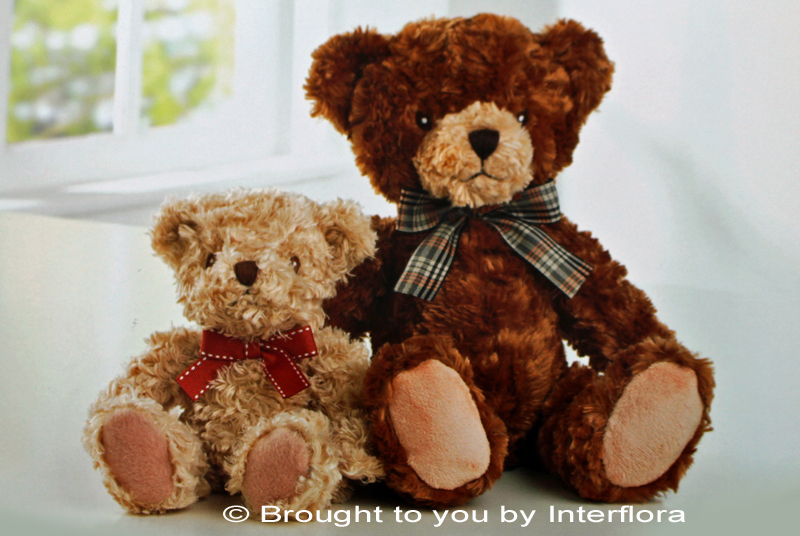 Add a Teddy - "Benjamin Bear": £14.99