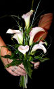 Calla Lily Hand-tied Bouquet