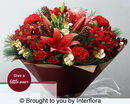 Christmas Cracker - £38