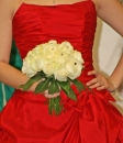 Cream Rose-Diamonte Handtied