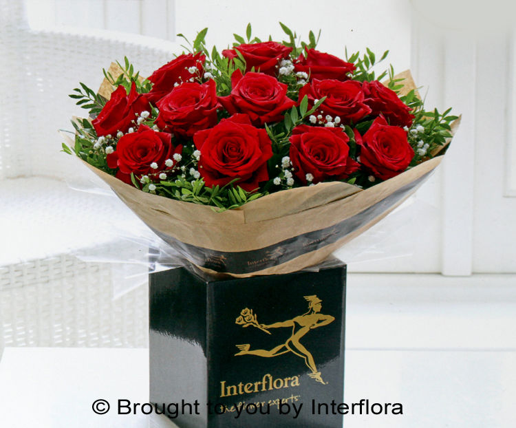 Dramatic Dozen £49