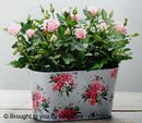 Flourishing Rose Love £28
