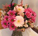 SPECIAL OFFER - Germinis in Vase £25