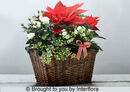 Jingle Bells - £35