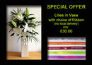 SPECIAL OFFER - Lilies in Vase + Ribbon £30