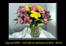 Special Offer - £25 inc Delivery