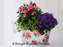 Summer Planted Tin £30