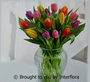 Tulip Delight Vase: £30.00