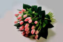 Tulip Sheaf