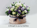 Twilight Dreams Hatbox £34