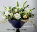Winter Wishes £50