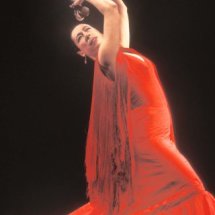Cristina Hoyos, Flamenco dancer