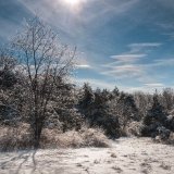 After The Ice Storm, Blue Hill