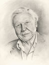 Sir David Attenborough portrait