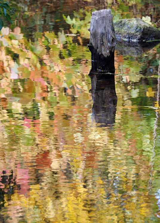 Autumn Reflections