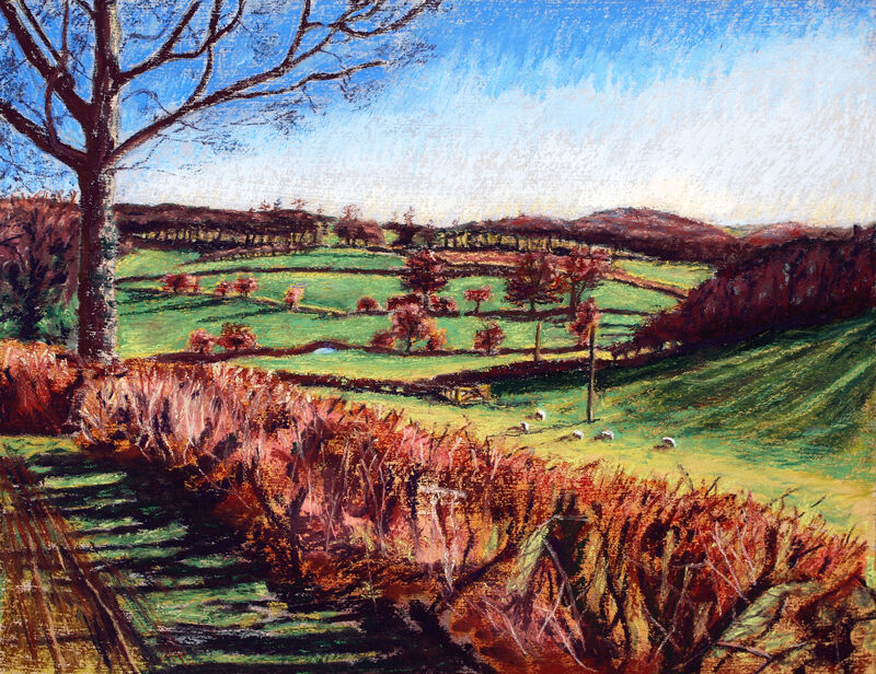 Landscape with Sheep