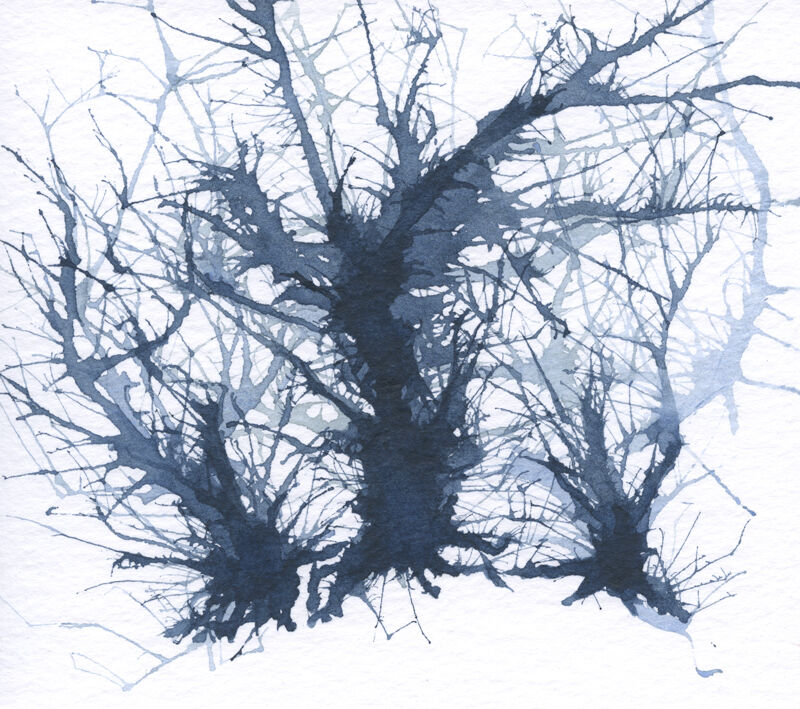 Hedgehog in Snow and Mist