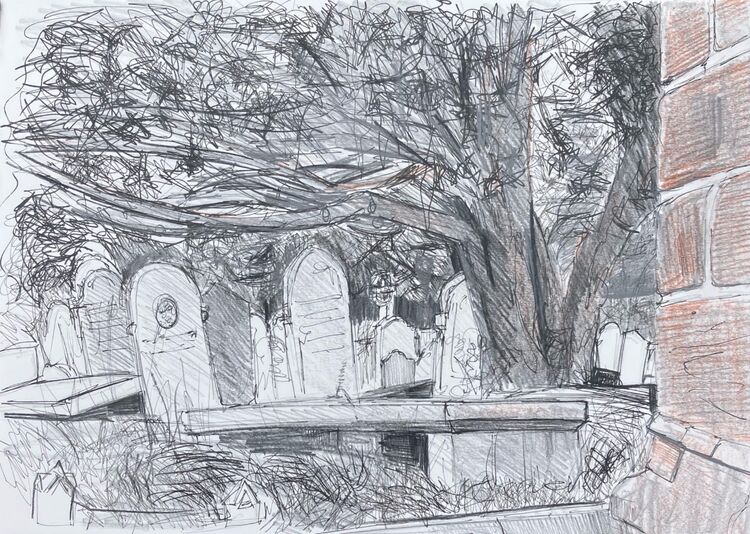 Yew tree in the churchyard of St. James’ Christleton.