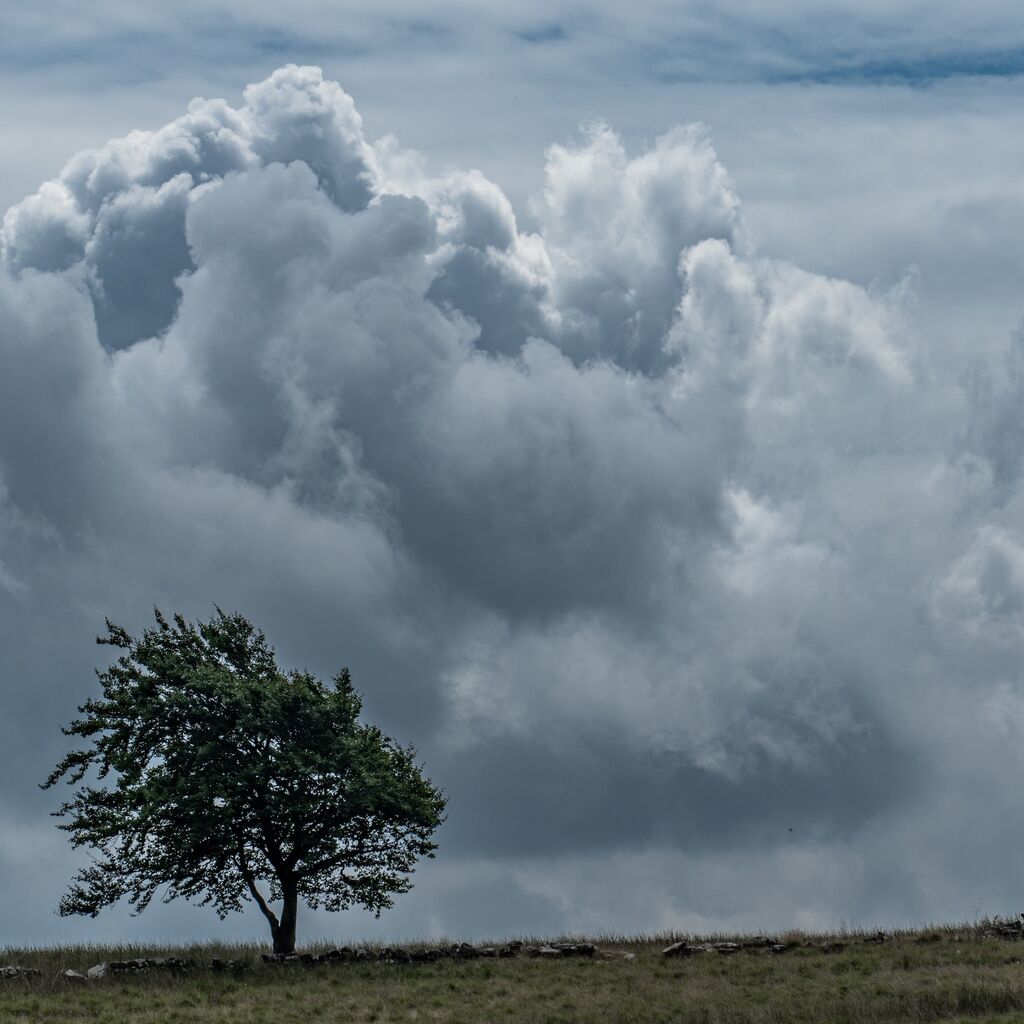 Storm brewing