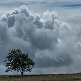 Storm brewing