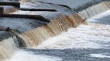 Salmon leap