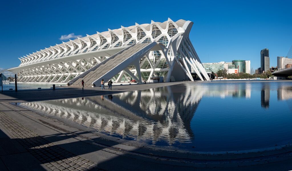 Ciudad de la Artes y las Ciencad (Arts & Science Museum)