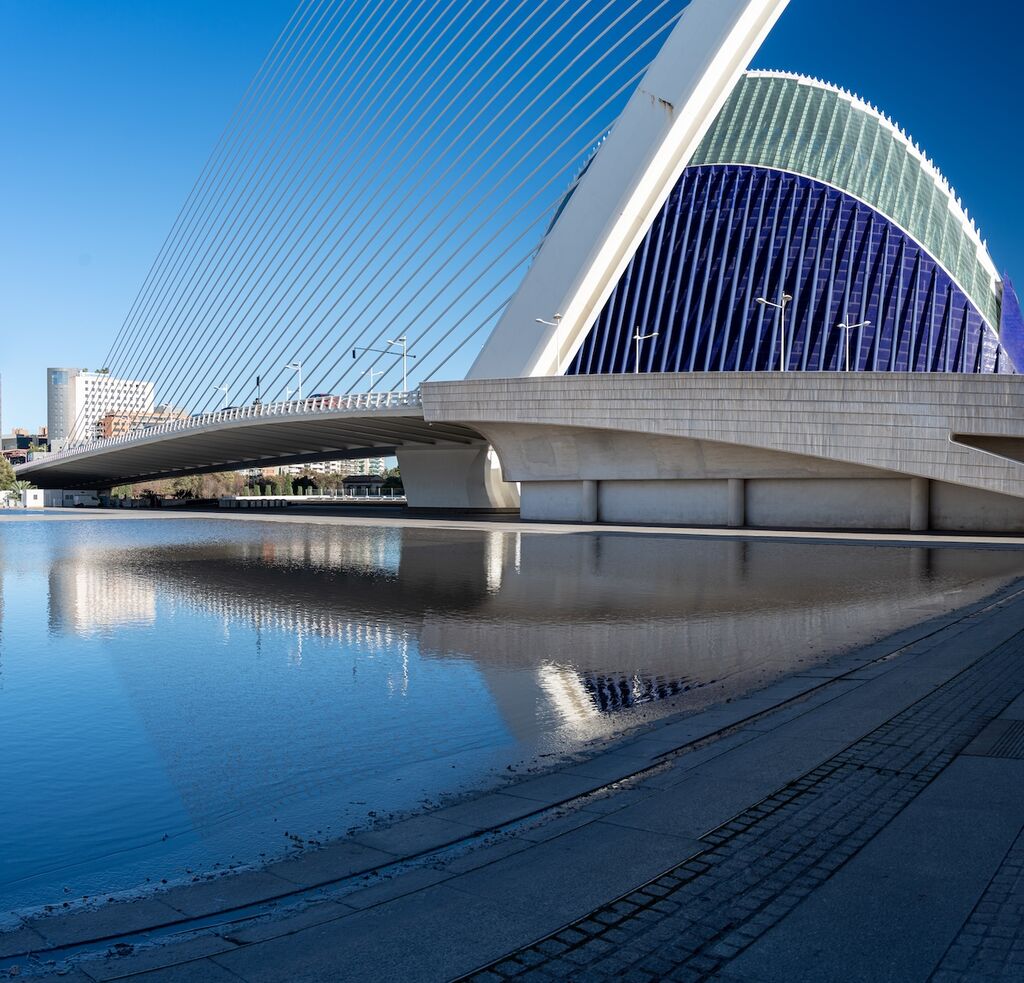 Ciudad de la Artes y las Ciencad (Arts & Science Museum)