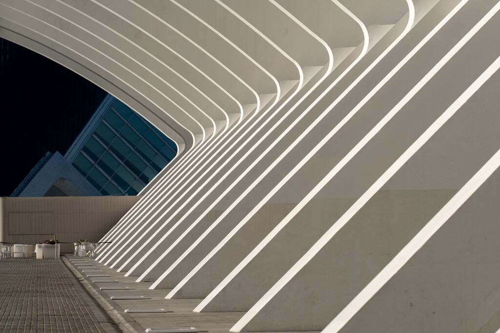 Ciudad de la Artes y las Ciencad (Arts & Science Museum)